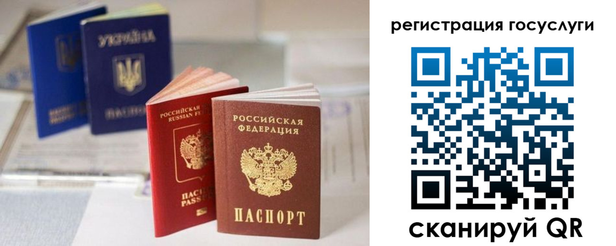 прописка поиск в Туле